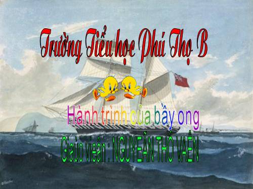 Tuần 12. Hành trình của bầy ong