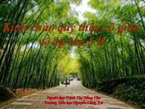 Tuần 9. Đất Cà Mau