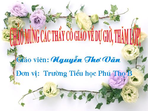 Tuần 11. Tiếng vọng