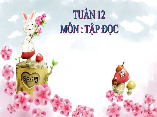 Tuần 12. Hành trình của bầy ong