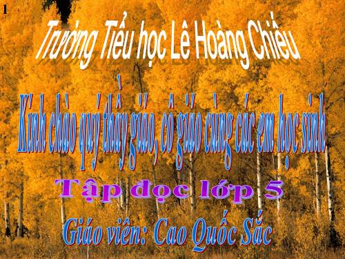 Tuần 8. Trước cổng trời