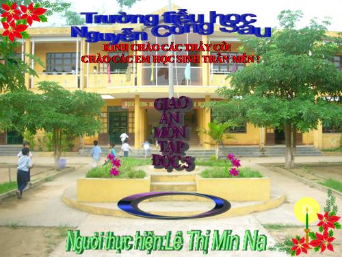 Tuần 13. Người gác rừng tí hon