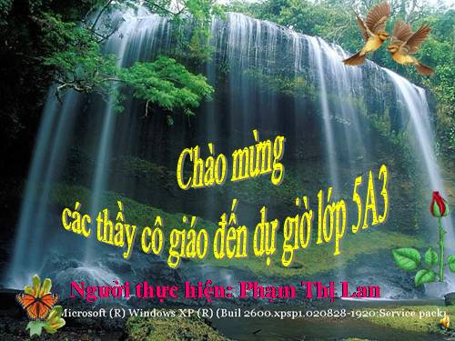 Tuần 8. Kì diệu rừng xanh