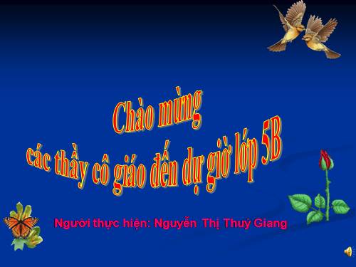 Tuần 5. Một chuyên gia máy xúc