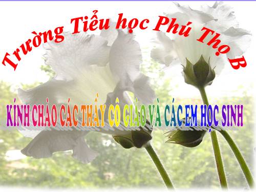 Tuần 8. Kì diệu rừng xanh