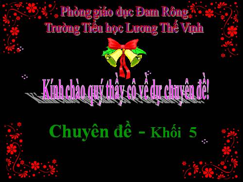 chuyên đề luyện từ và câu lớp 5