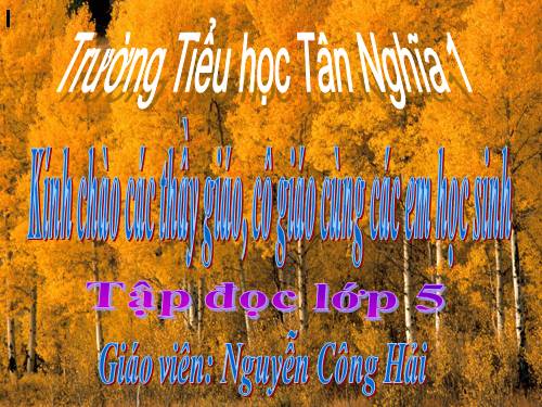 Tuần 8. Kì diệu rừng xanh