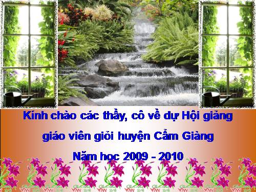 Tuần 29. Một vụ đắm tàu