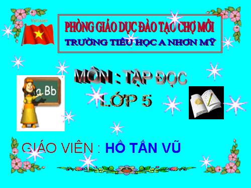 Tuần 13. Trồng rừng ngập mặn