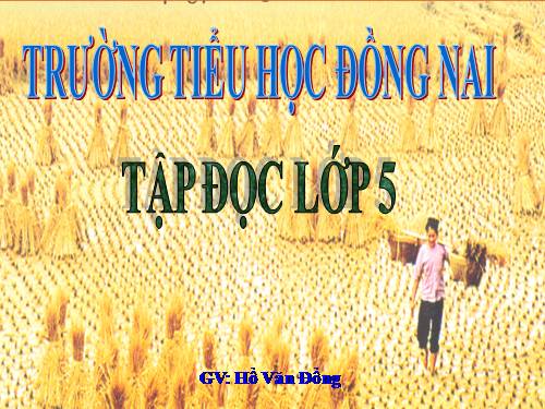 Tuần 14. Hạt gạo làng ta