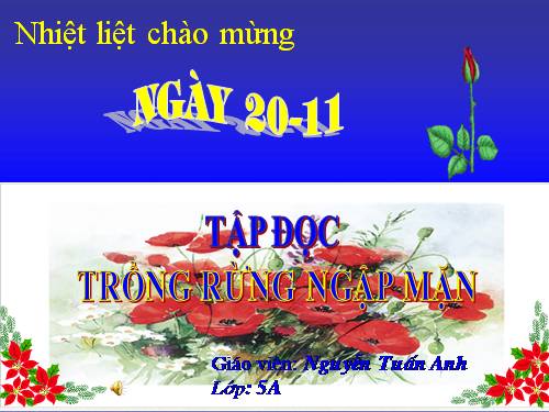 Tuần 13. Trồng rừng ngập mặn