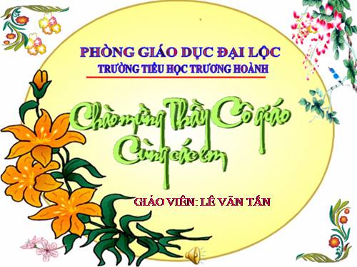 Tuần 14. Chuỗi ngọc lam