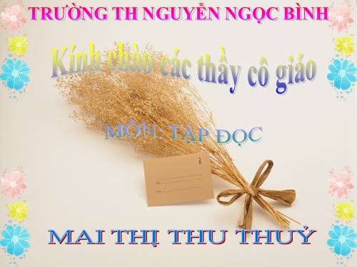 Tuần 33. Luật Bảo vệ, chăm sóc và giáo dục trẻ em