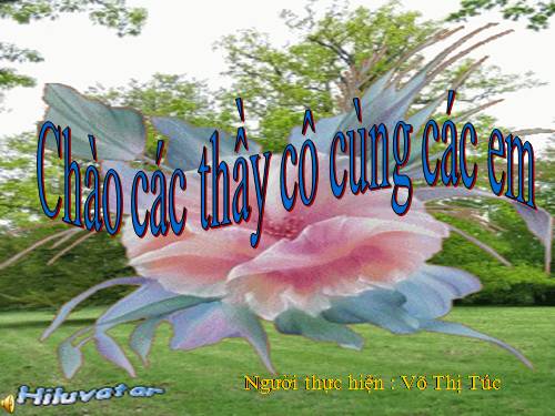 Tuần 13. Người gác rừng tí hon