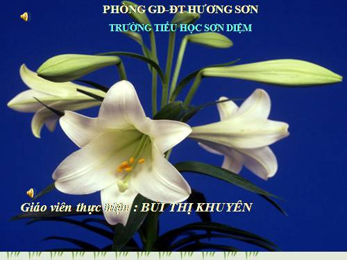 Tuần 34. Nếu trái đất thiếu trẻ con