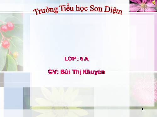 Tuần 32. Những cánh buồm