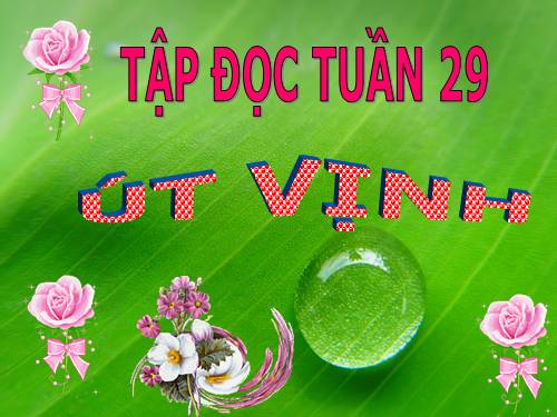 Tuần 32. Út Vịnh