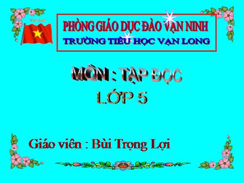 Tuần 13. Trồng rừng ngập mặn