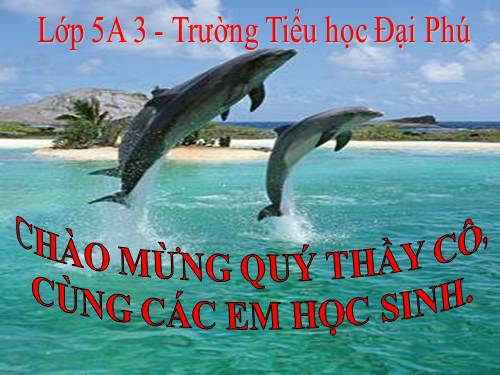 Tuần 7. Những người bạn tốt