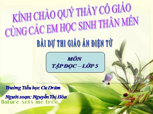 Tuần 30. Tà áo dài Việt Nam