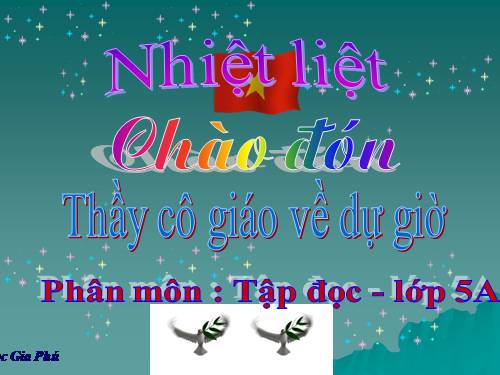 Tuần 31. Bầm ơi