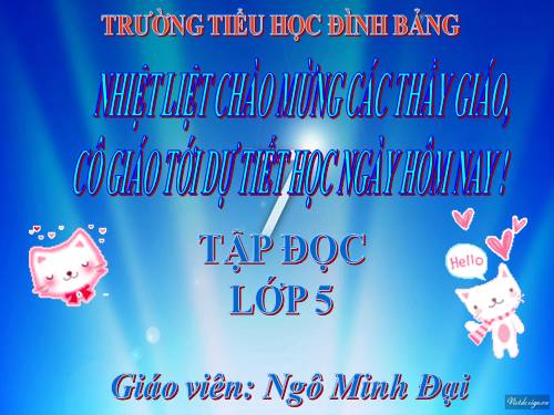 Tuần 31. Công việc đầu tiên