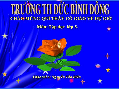 Tuần 11. Chuyện một khu vườn nhỏ