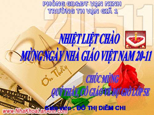 Tuần 12. Hành trình của bầy ong