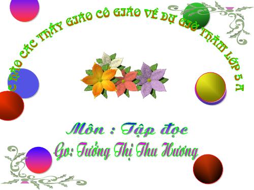 Tuần 13. Người gác rừng tí hon