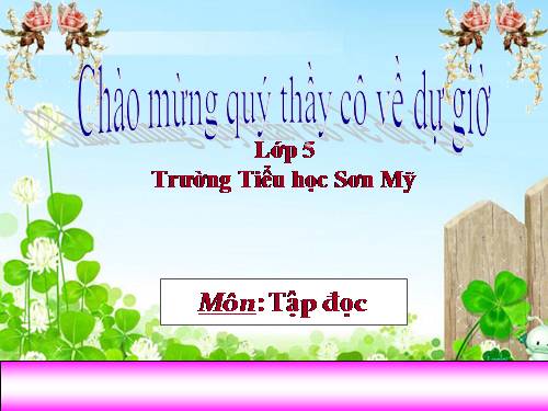 Tuần 9. Đất Cà Mau