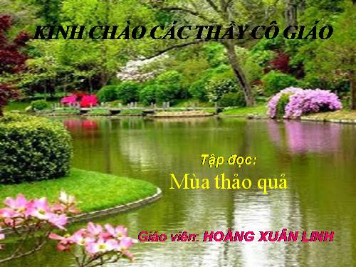 Tuần 12. Mùa thảo quả