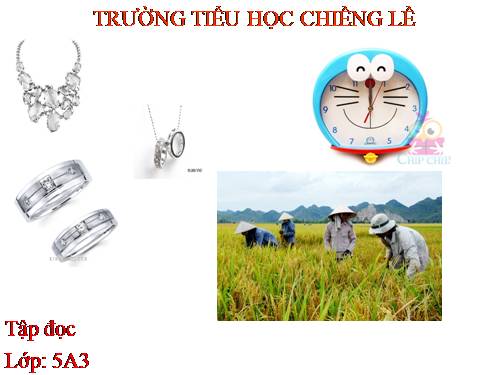 Tuần 9. Cái gì quý nhất?