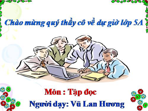 Tuần 12. Hành trình của bầy ong