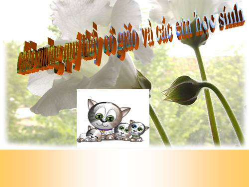 Tuần 8. Kì diệu rừng xanh
