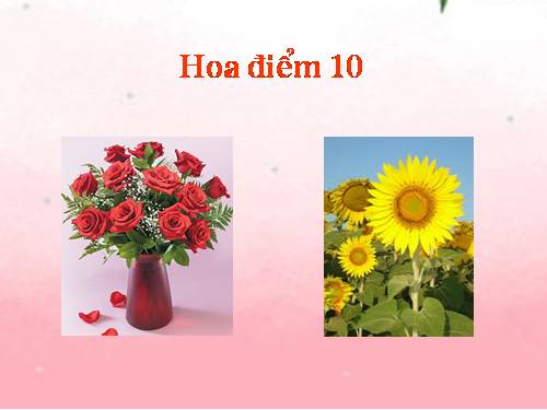 Tuần 32. Út Vịnh