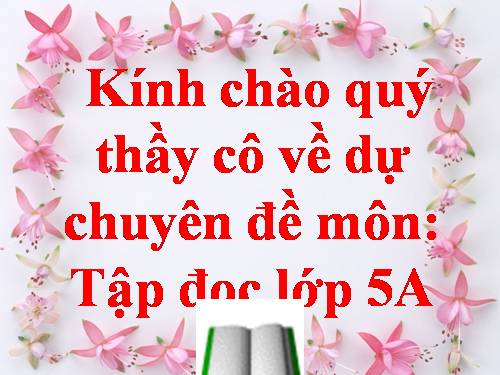 Tuần 8. Kì diệu rừng xanh