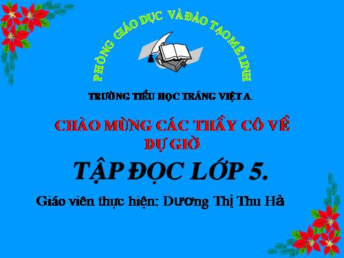 Tuần 13. Trồng rừng ngập mặn