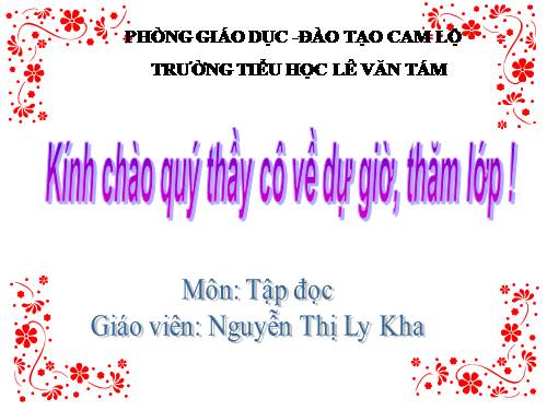 Tuần 13. Trồng rừng ngập mặn