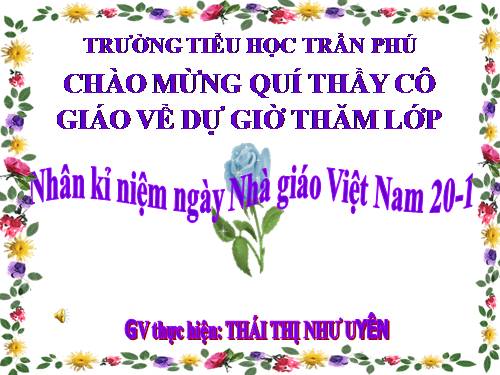 Tuần 12. Hành trình của bầy ong