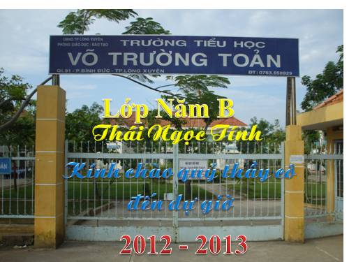 Tuần 12. Hành trình của bầy ong