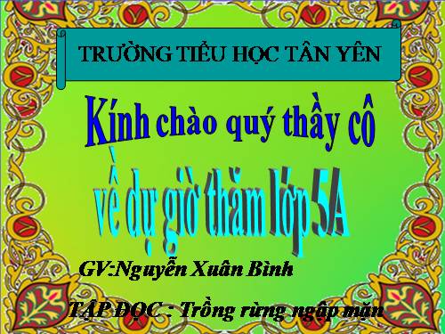 Tuần 13. Trồng rừng ngập mặn