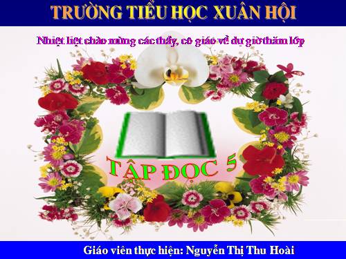 Tuần 30. Tà áo dài Việt Nam