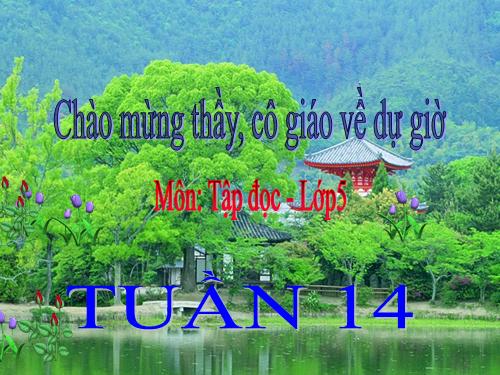 Tuần 14. Chuỗi ngọc lam