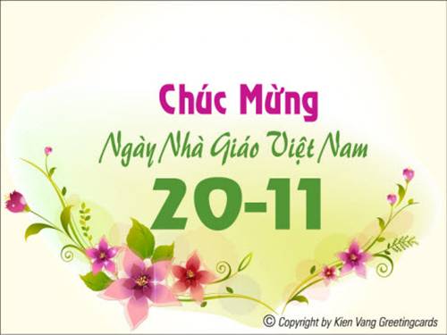 Tuần 12. Hành trình của bầy ong