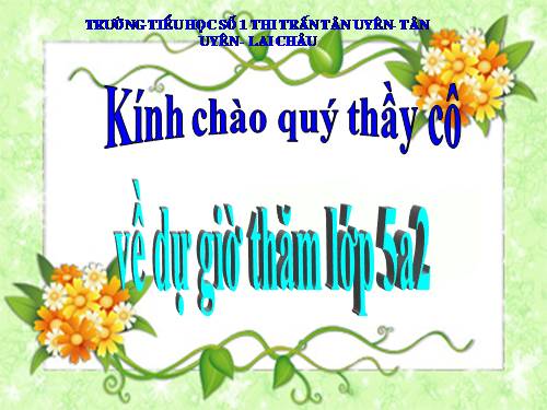 Tuần 13. Trồng rừng ngập mặn