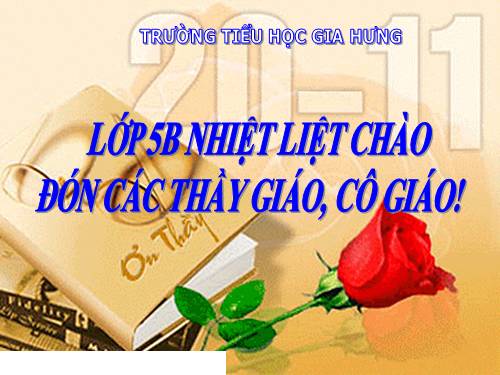 Tuần 12. Hành trình của bầy ong