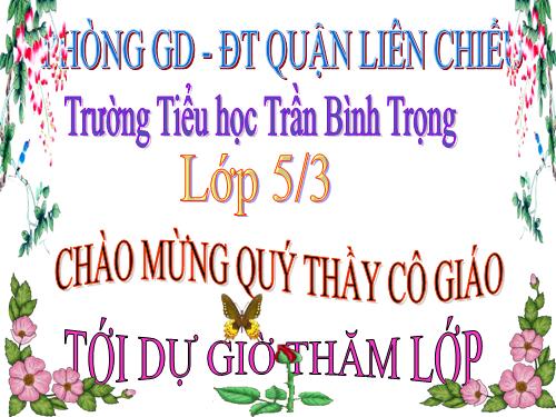 Tuần 12. Hành trình của bầy ong