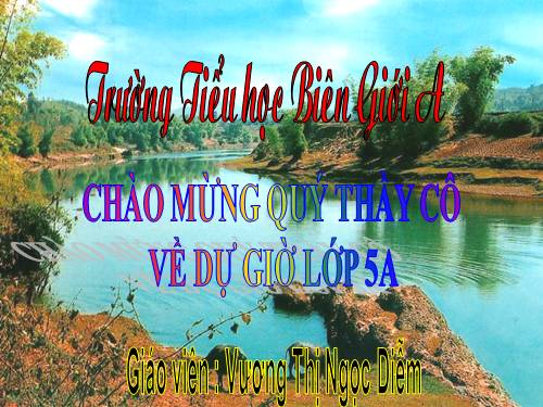 Tuần 12. Hành trình của bầy ong