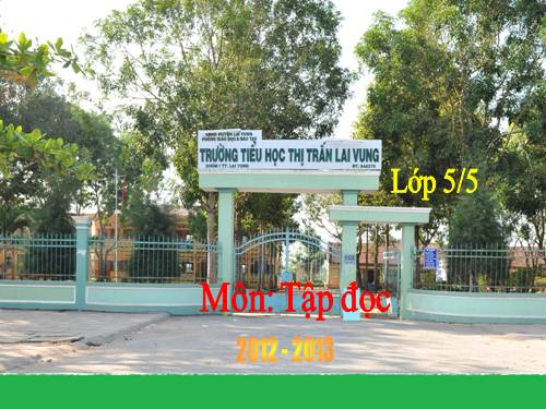 Tuần 12. Hành trình của bầy ong