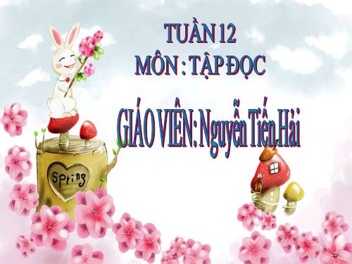 Tuần 12. Hành trình của bầy ong